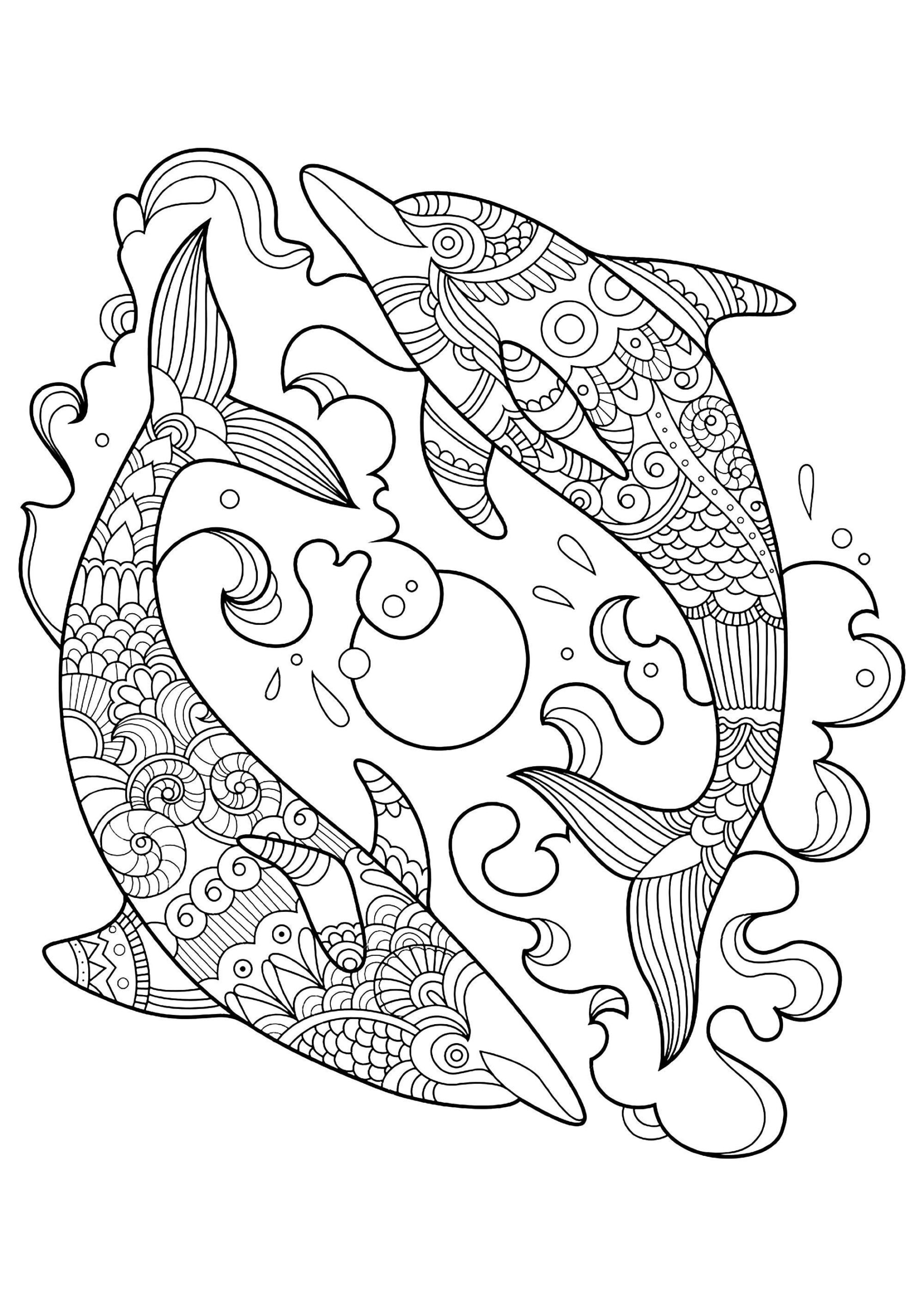 10 Dolphin themed Coloring Pages Etsy