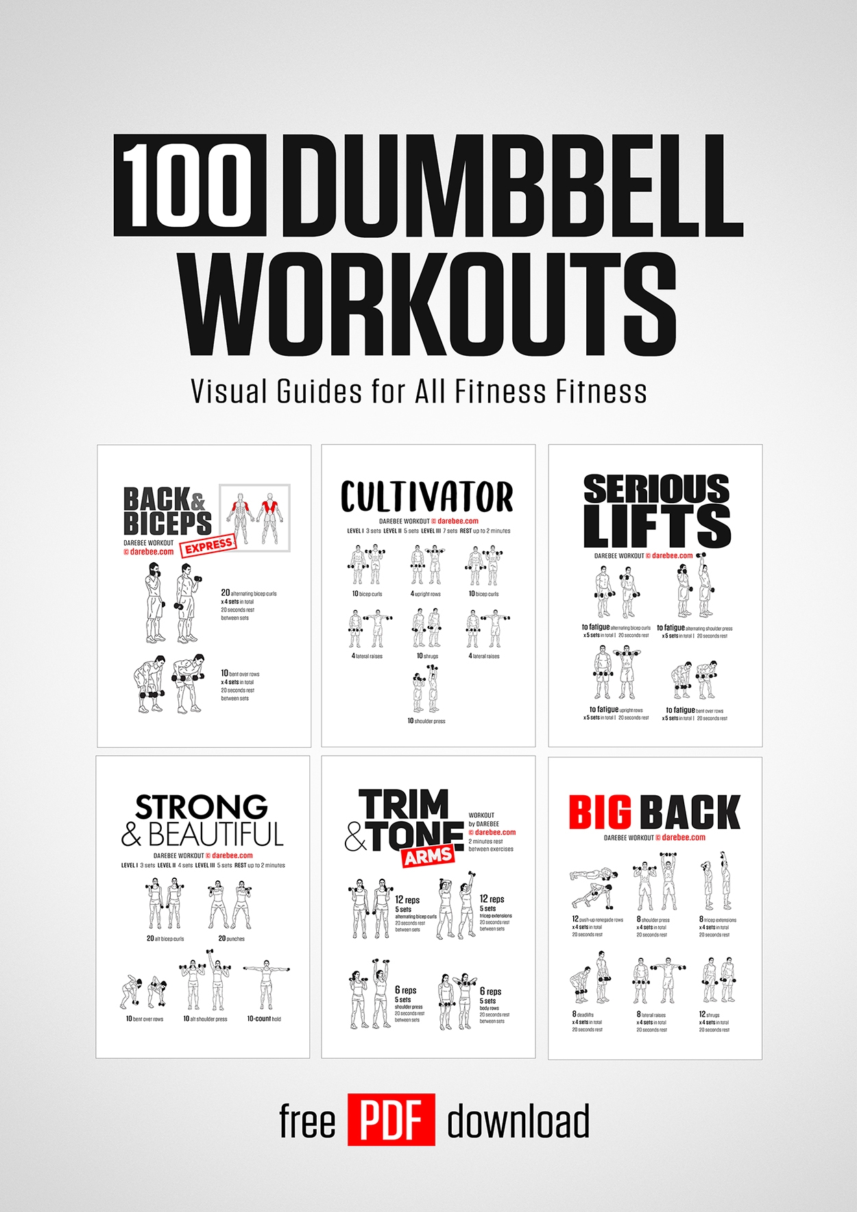 100 Dumbbell Workouts Paperback By DAREBEE
