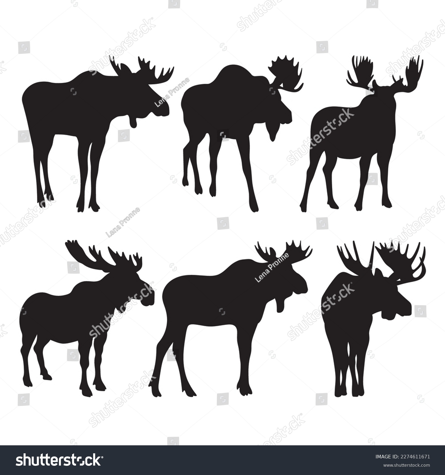4 015 Moose Template Images Stock Photos And Vectors Shutterstock