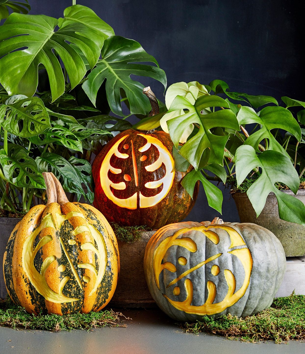 65 Free Pumpkin Carving Stencils To Personalize Your Porch Decor