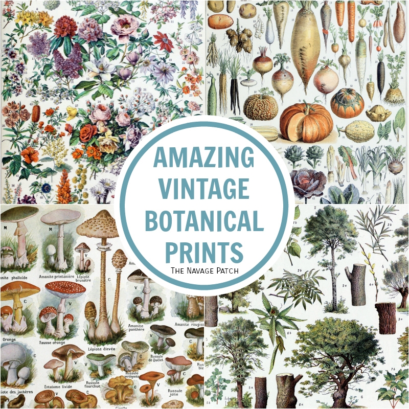 Vintage Free Printables