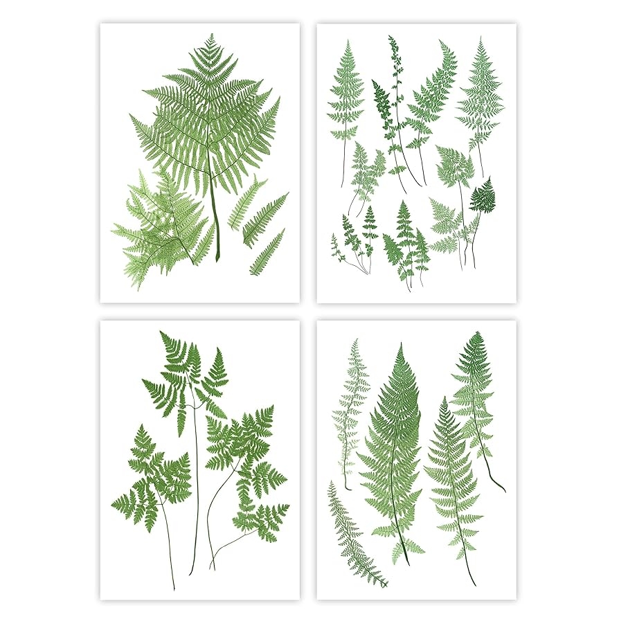 Amazon Fern Art 5x7 Inch Botanical Prints Henry Bradbury Illustrations Set Of 4 Unframed Handmade Products
