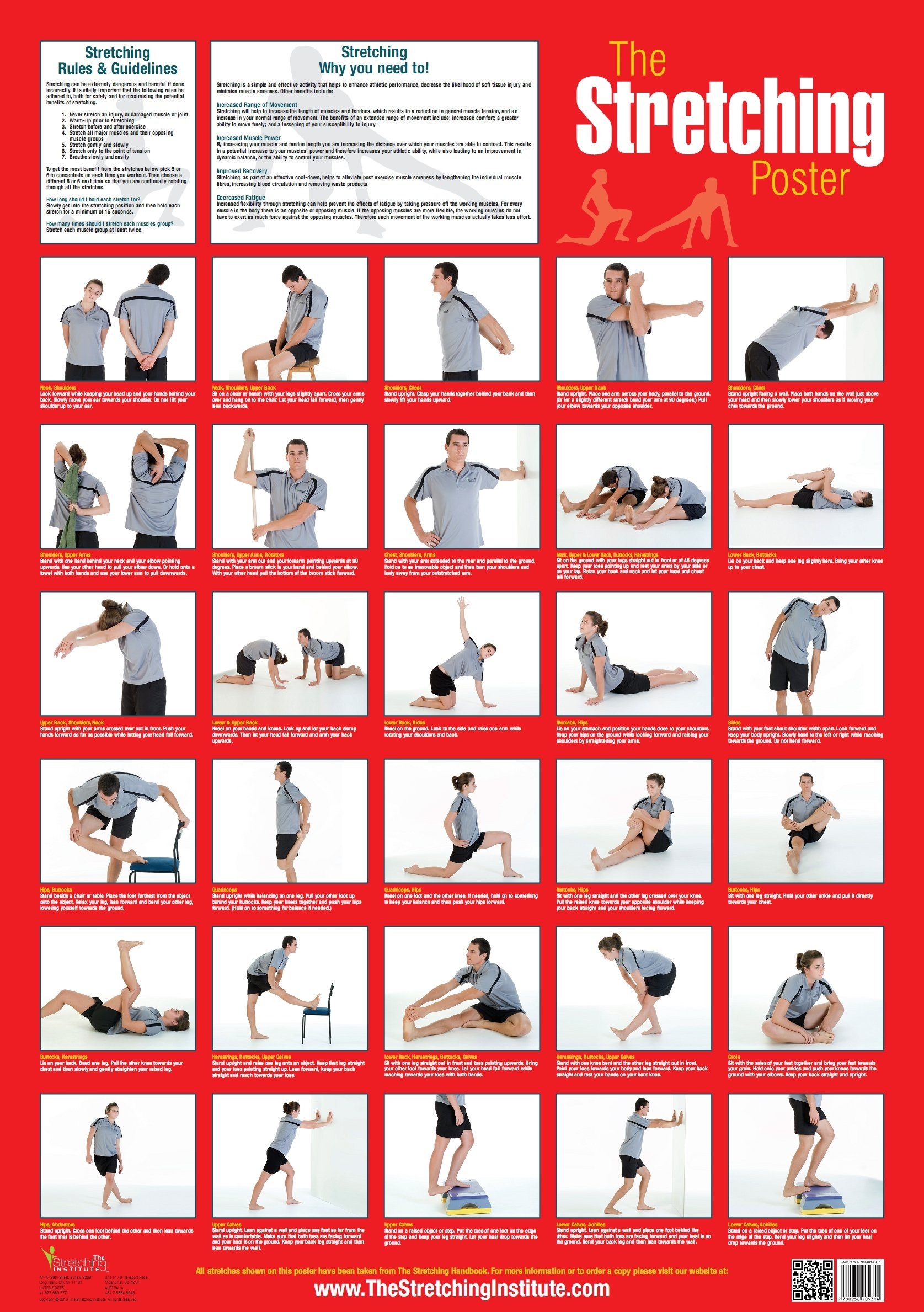 Amazon The Stretching Poster Home Kitchen