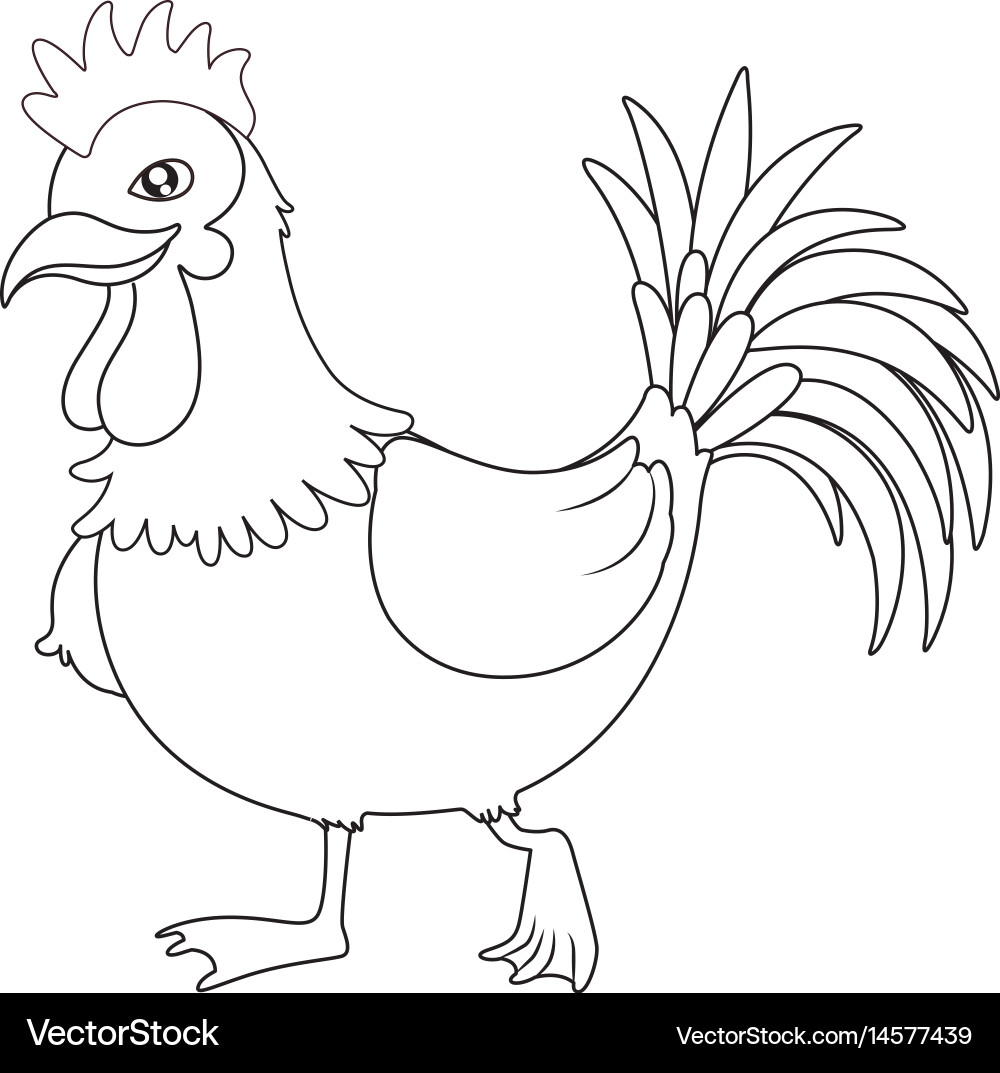 Animal Outline For Rooster Royalty Free Vector Image