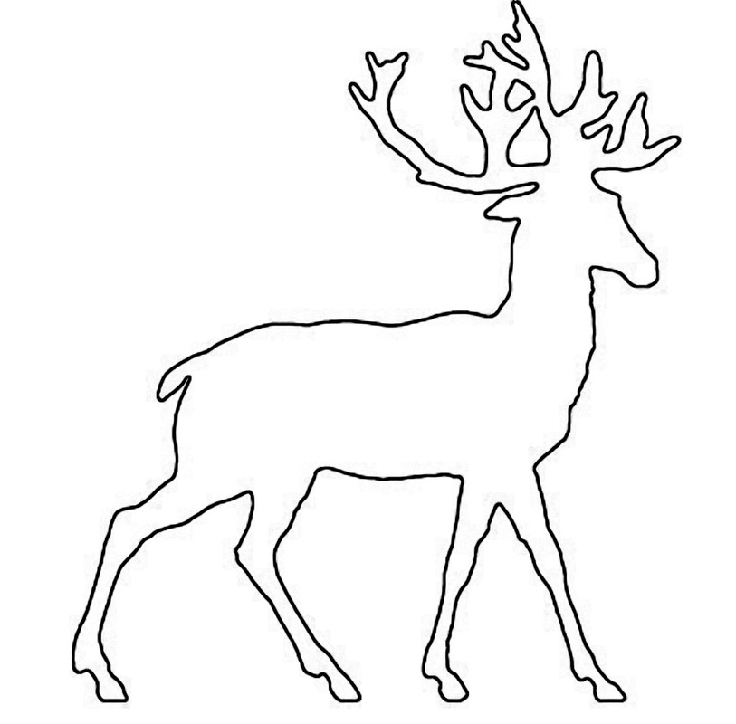Animals FREE CRAFT PATTERNS