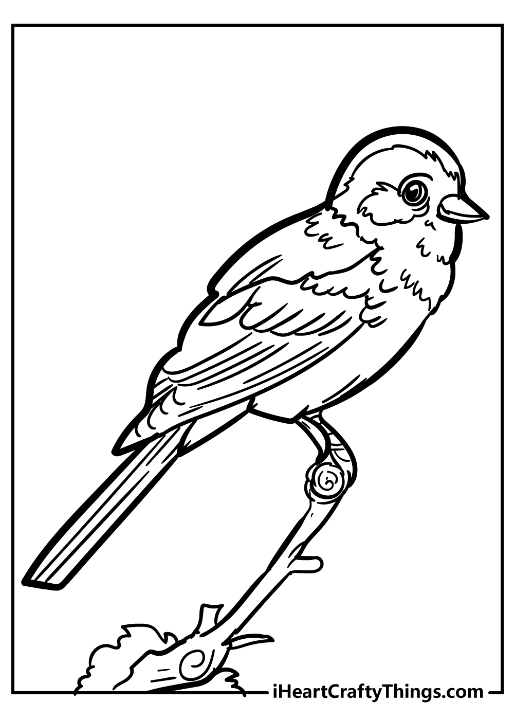 Bird Coloring Pages 100 Free Printables 