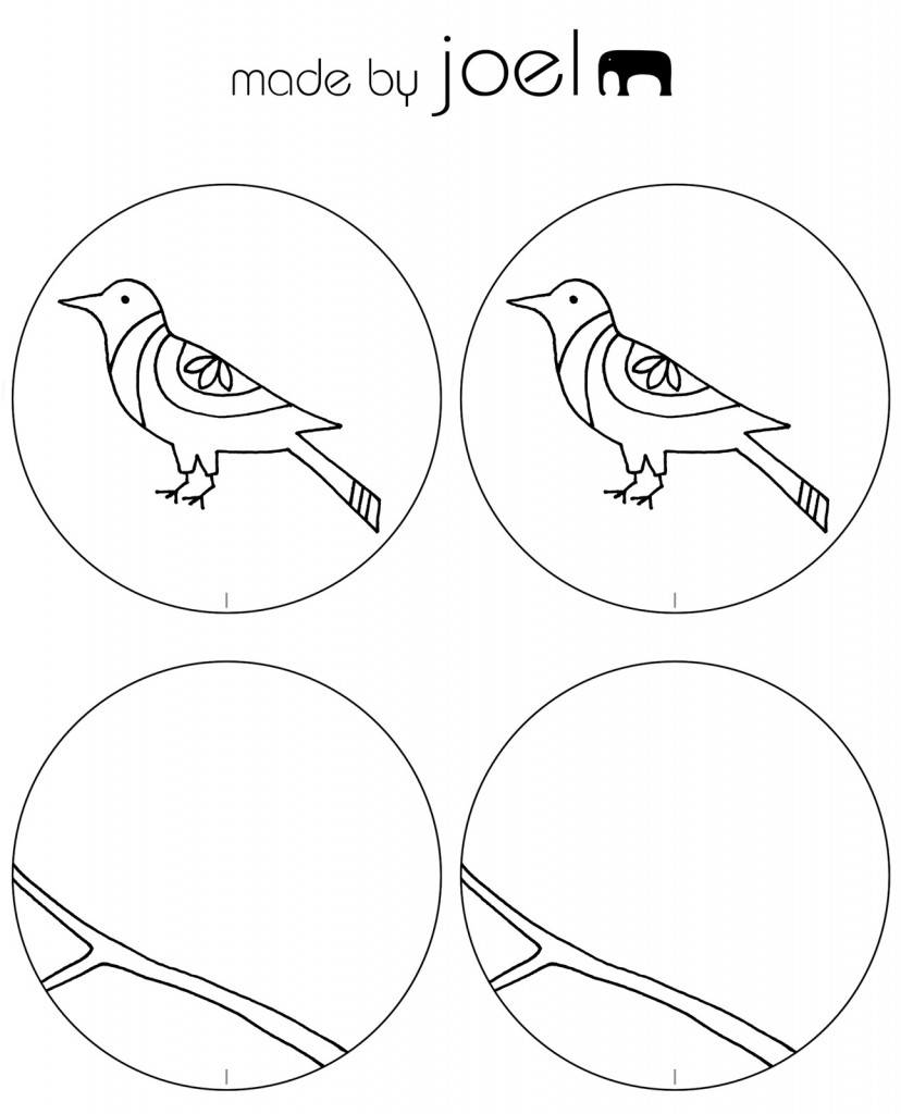 Bird Thaumatrope Made By Joel