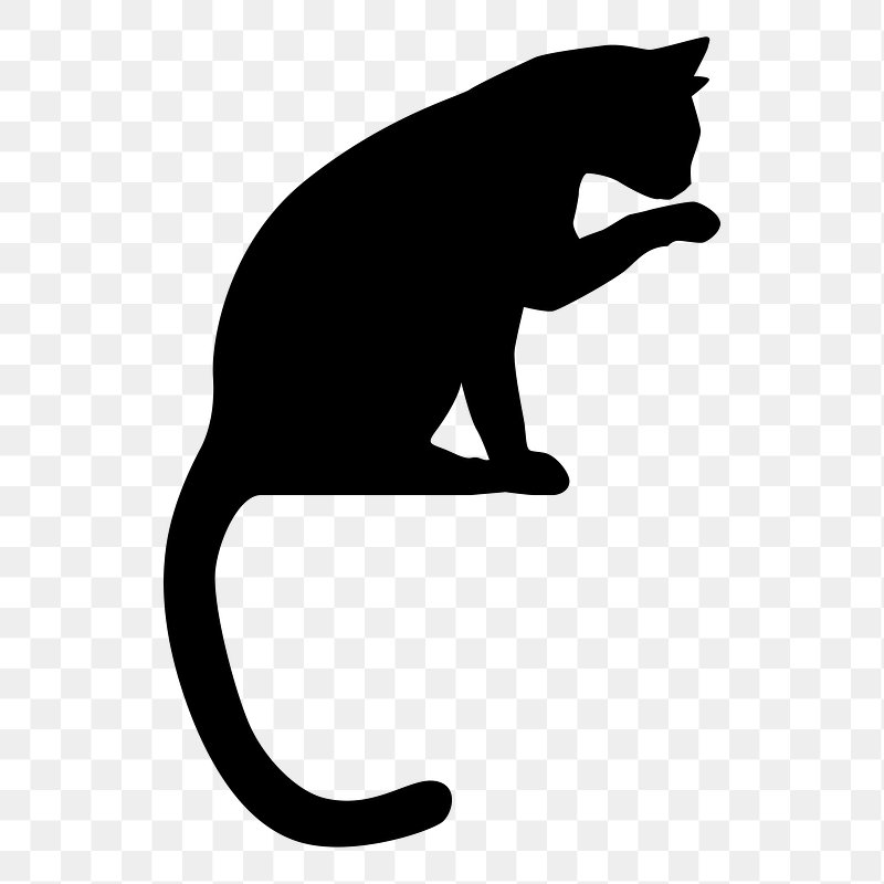 Black Cat Images Free Photos PNG Stickers Wallpapers Backgrounds Rawpixel