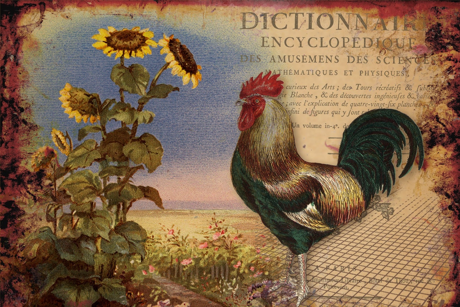Bountiful Heirlooms Free Printables Country Roosters With Sunflowers