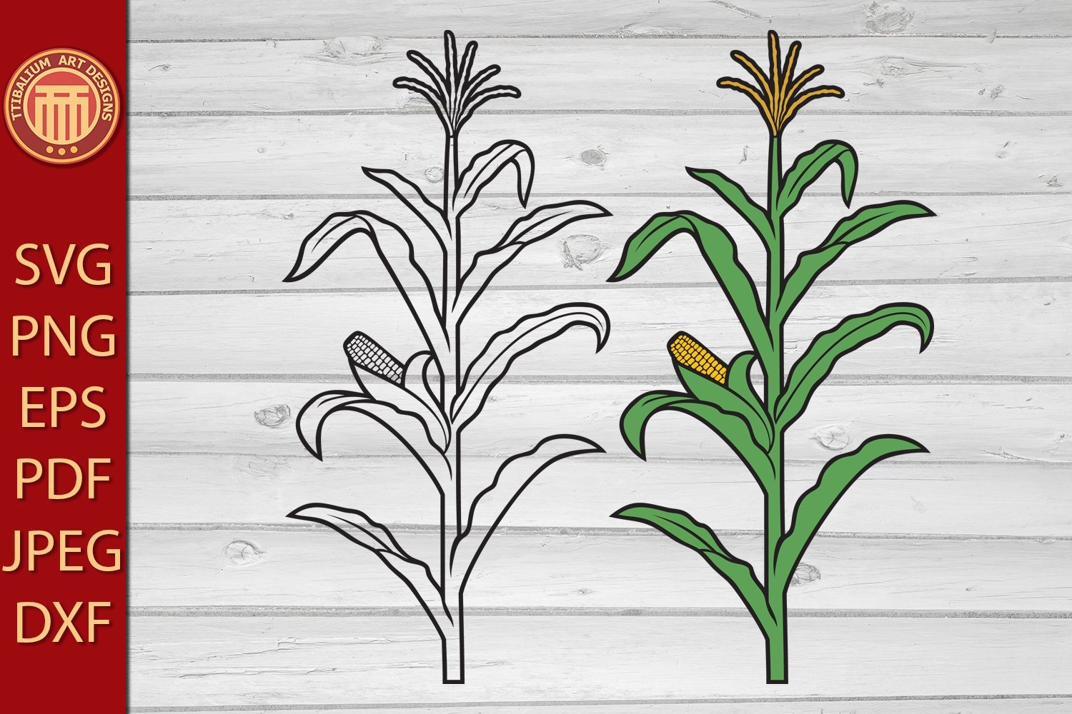 Corn Stalk Eps Jpg Dxf Svg Pdf Png Files 2186509 