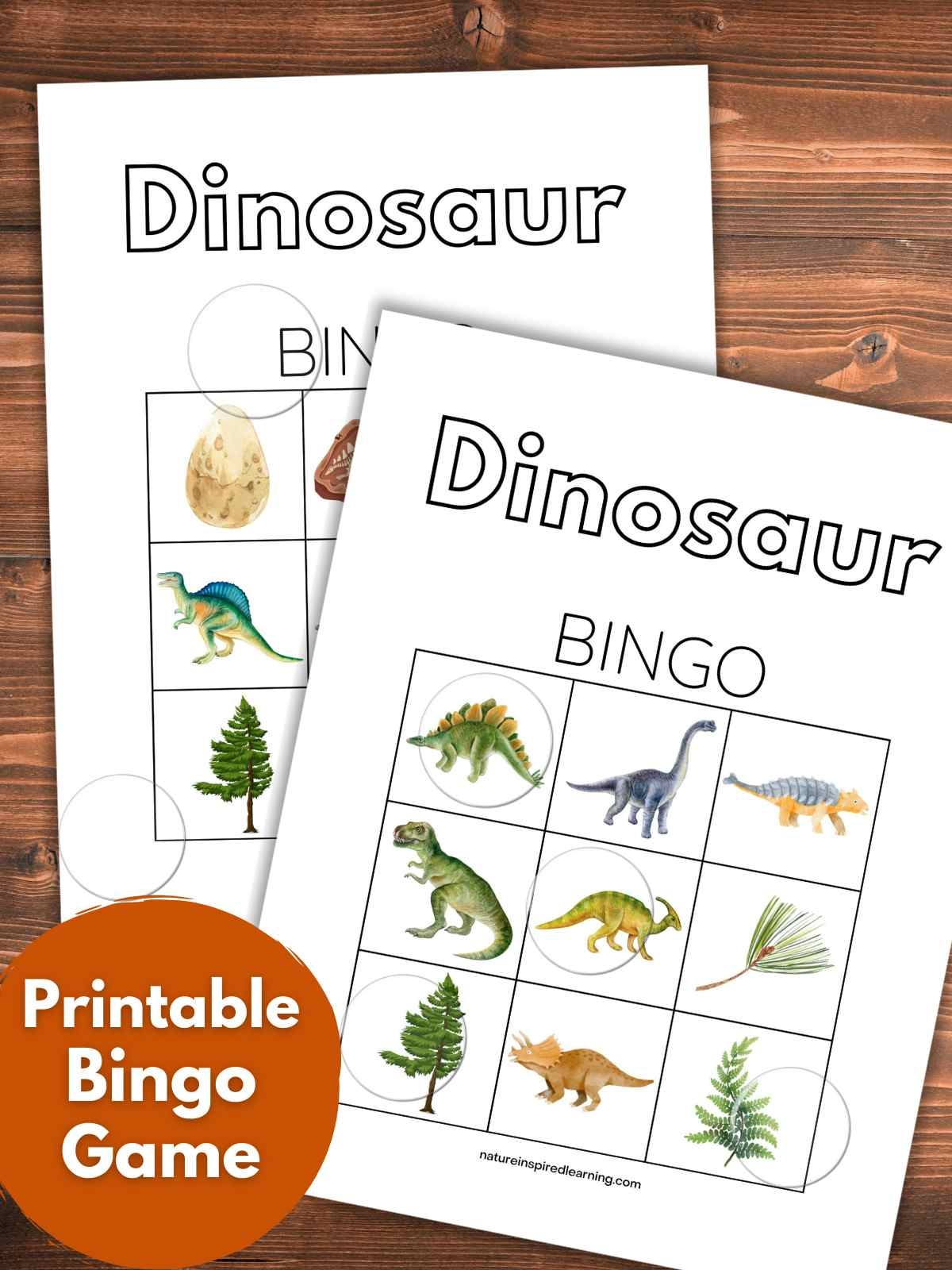 Dinosaur BINGO Game Nature Inspired Learning