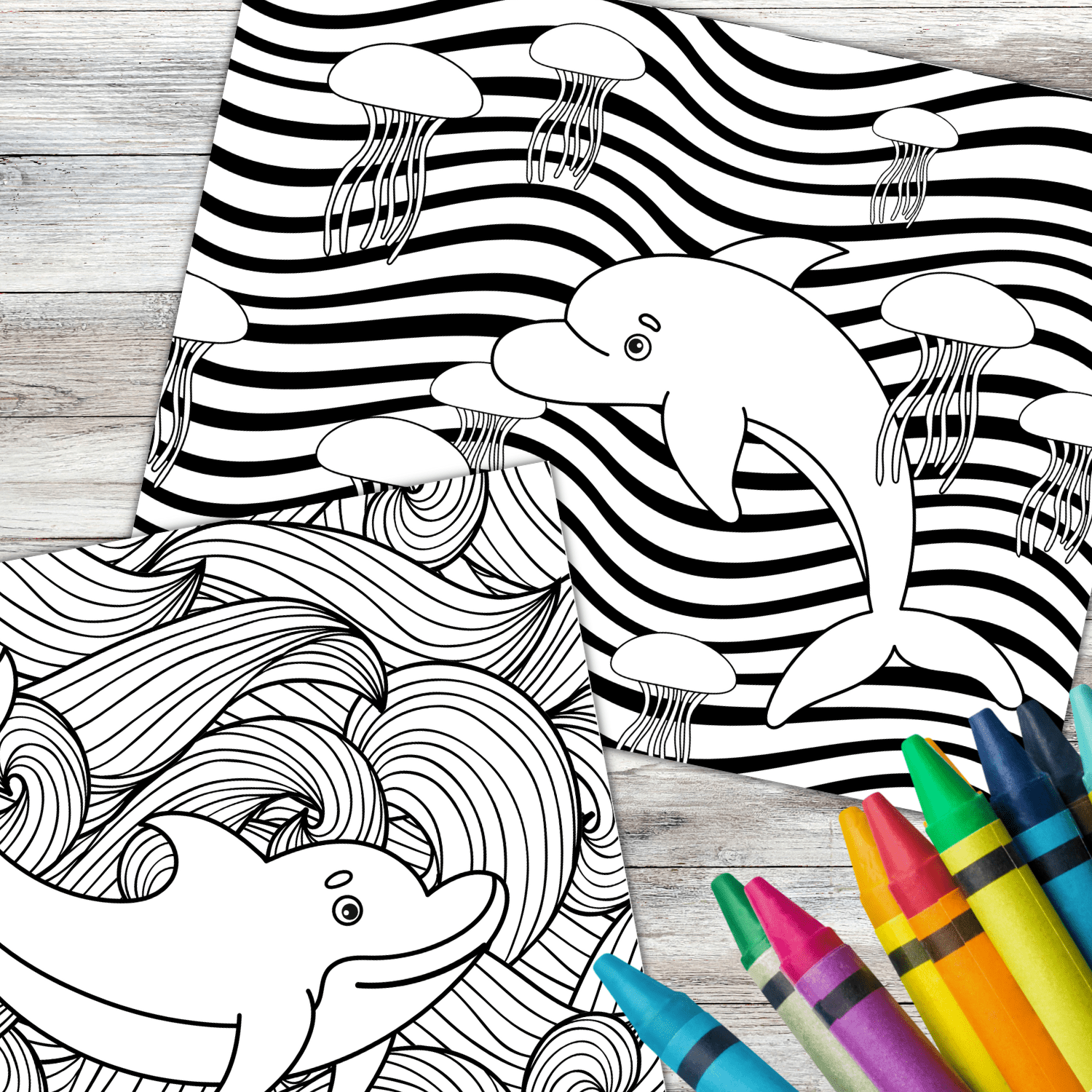 Dolphin Coloring Pages Free Printable