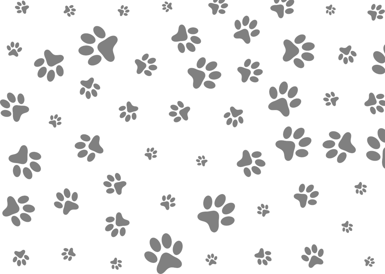 Download Cat Paw Print Royalty Free Stock Illustration Image Pixabay