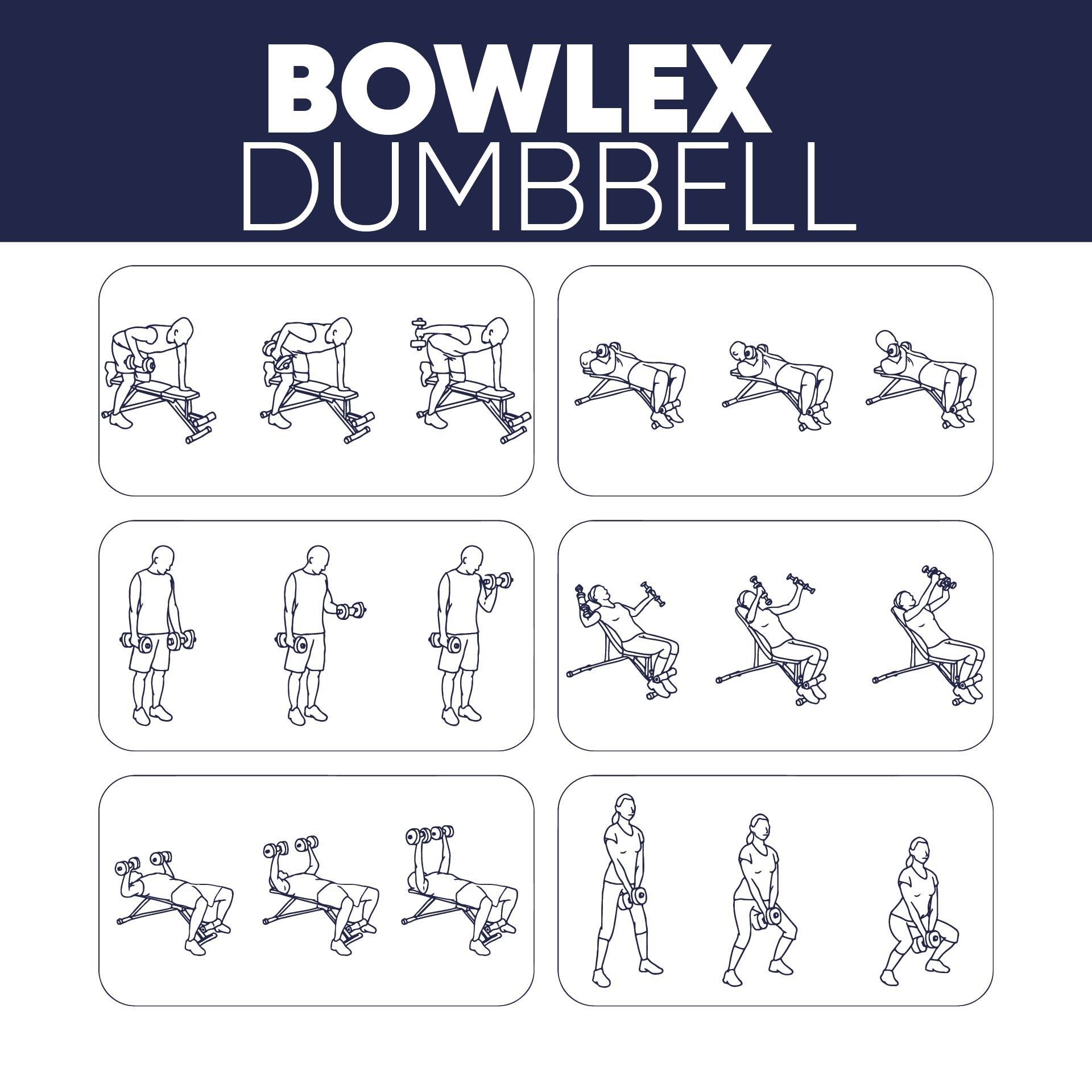 Dumbbell Exercise Chart Printable Free