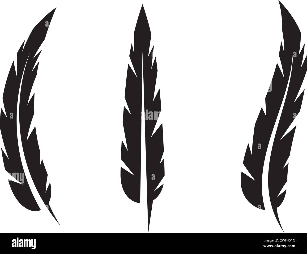 Feather Star Stock Vector Images Alamy