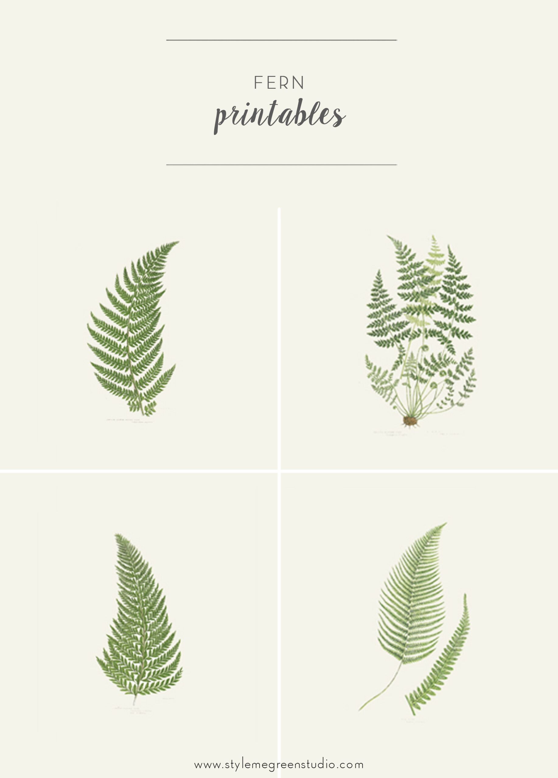 FERN COLLECTION FREE PRINTABLES Style Me Green