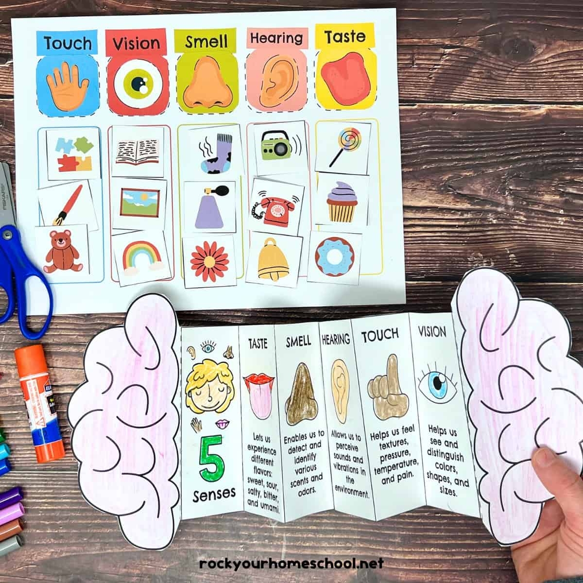 Five Senses Printables Pack For Sorting Fun And More Free Rock Your Homeschool