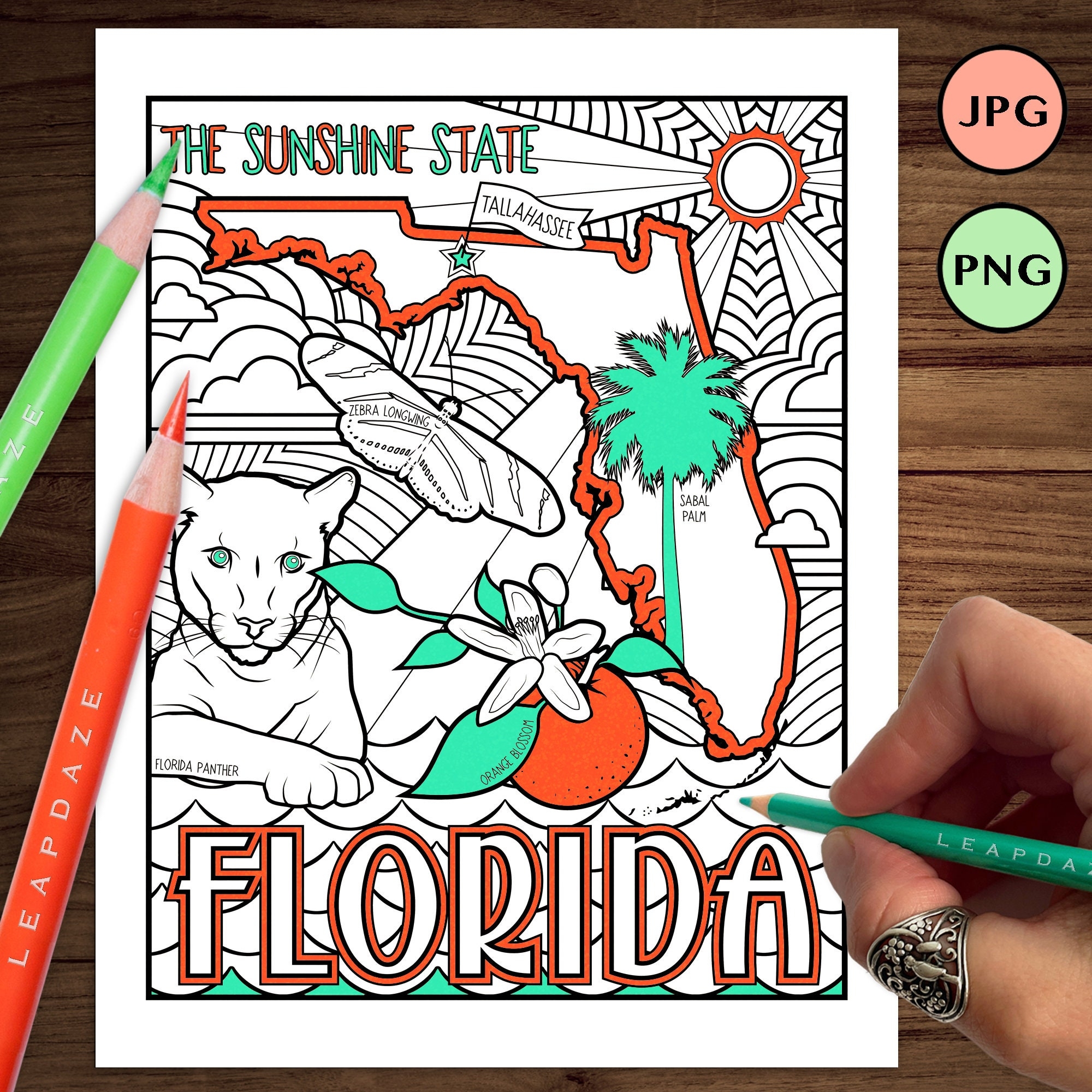 FLORIDA Printable Coloring Page With State Facts United States Of America Outline State Map Etsy