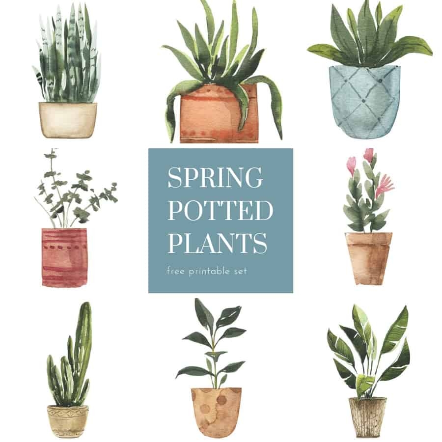 Free Botanical Cactus Wall Art Printables Harbour Breeze Home