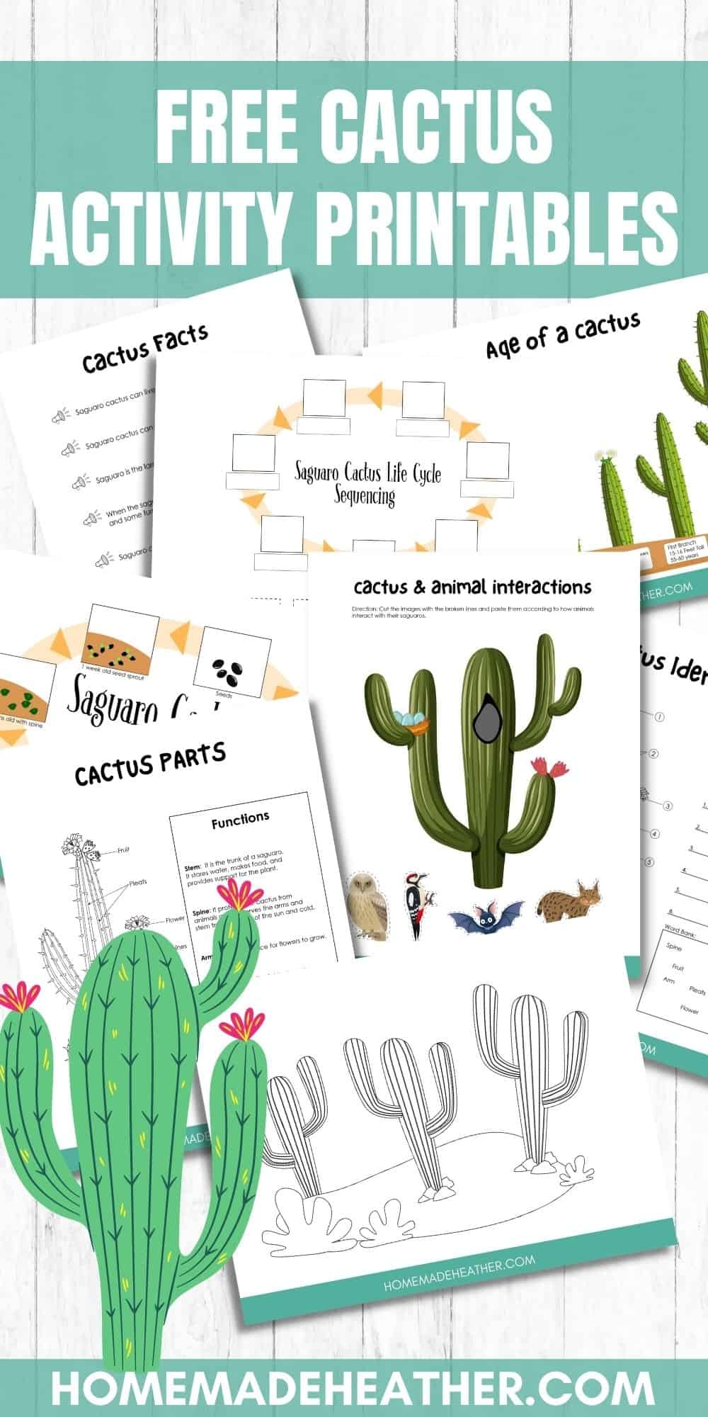 Cactus Free Printables