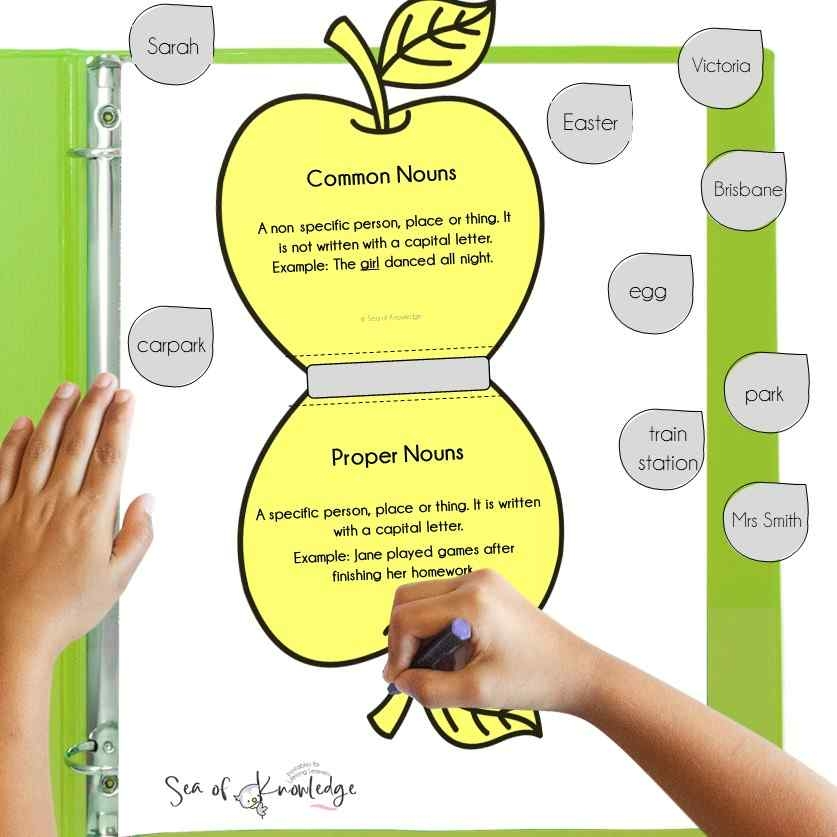 Free Printable Common Noun Cards