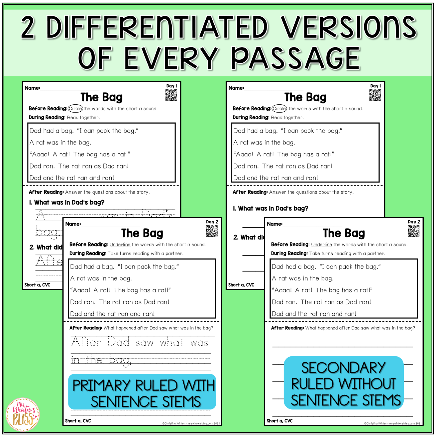 Free Printable Cvc Passages