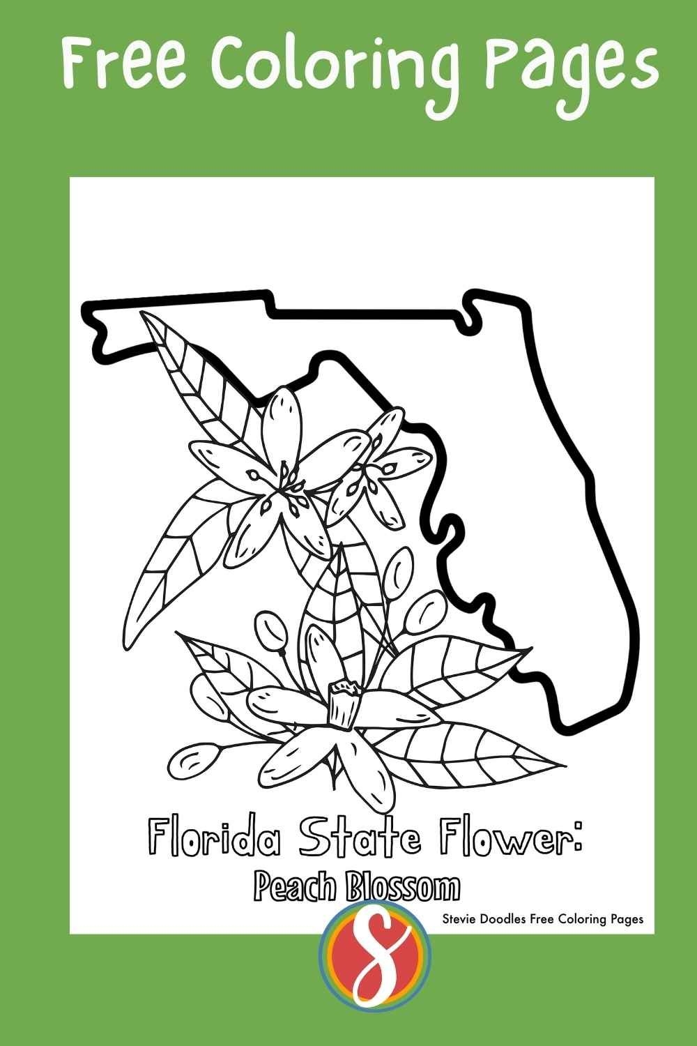 Free Florida Coloring Pages Stevie Doodles
