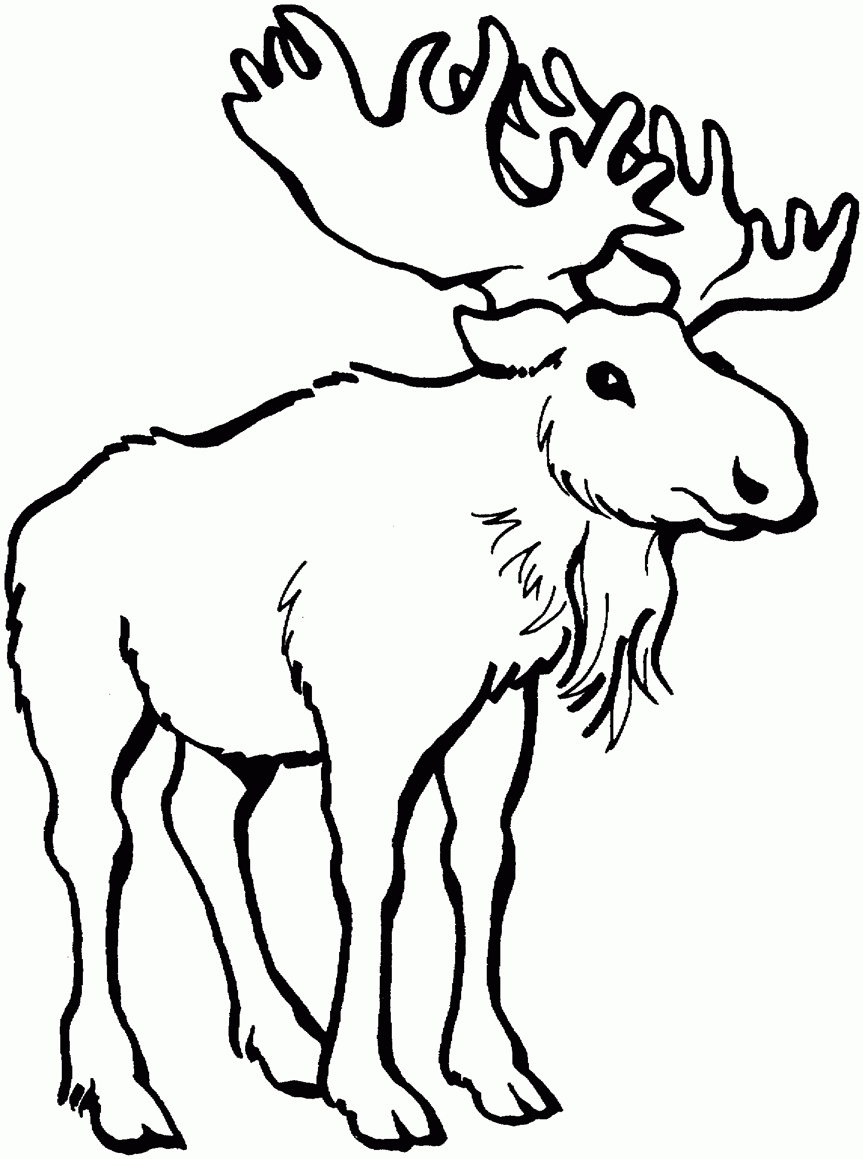 Free Printable Moose Templates