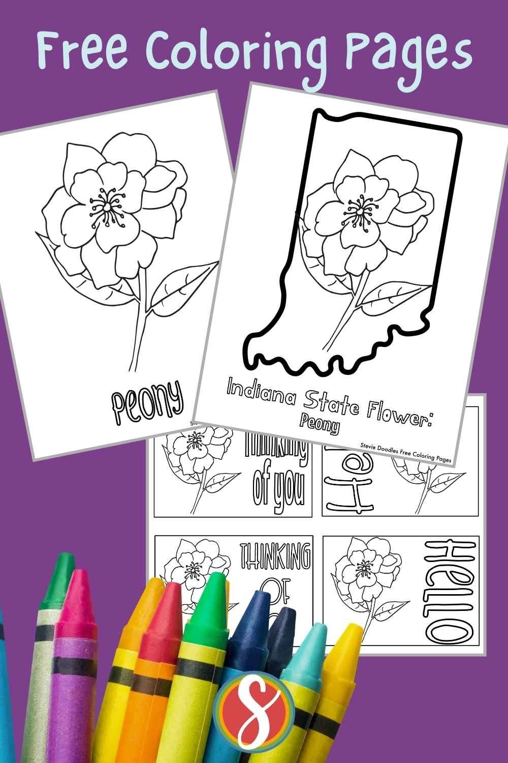 Free Printable Pictures Of Peony