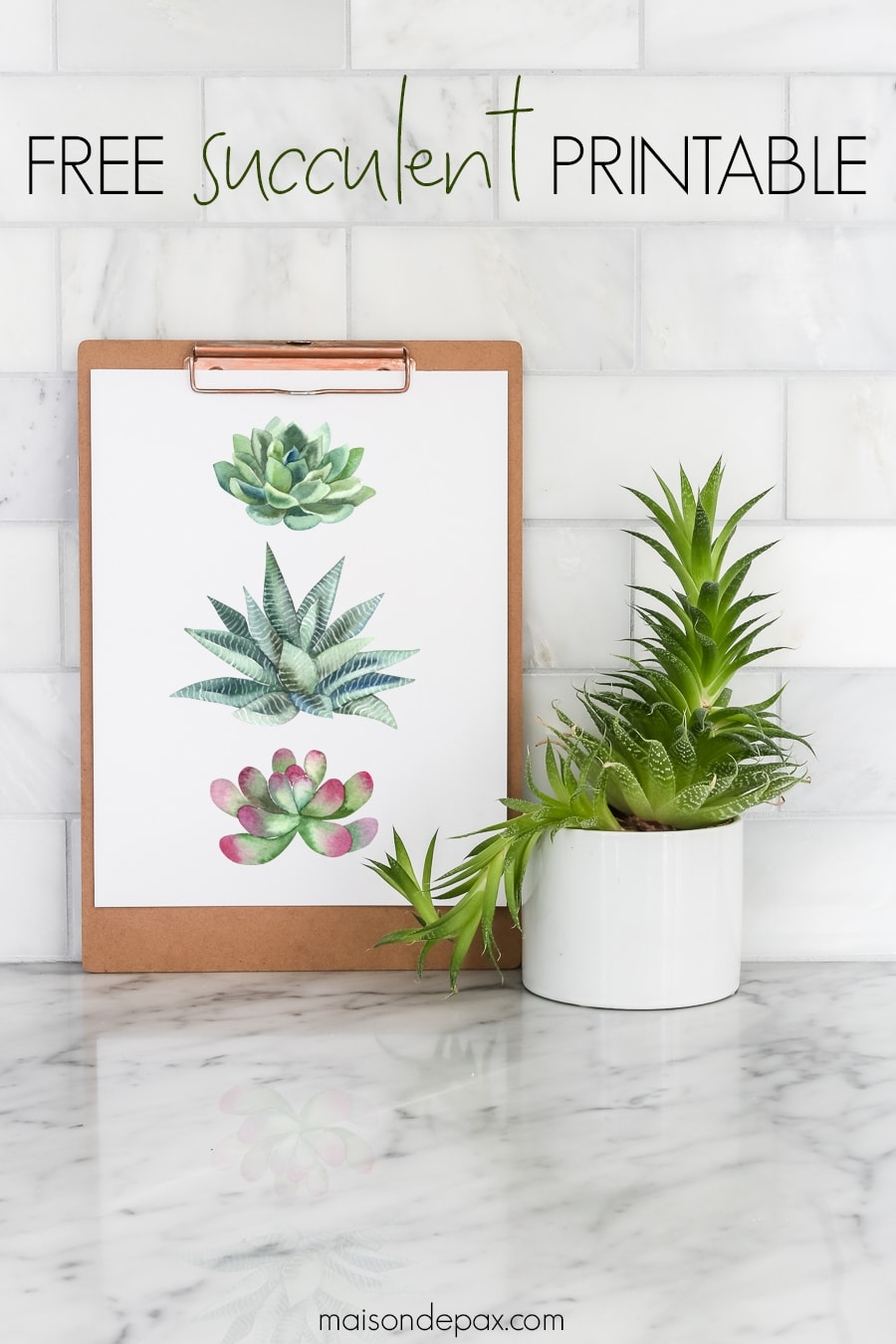 Free Printable Succulent Wall Art Maison De Pax