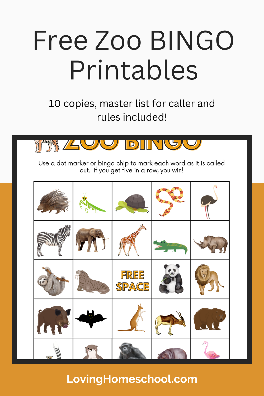 Free Zoo BINGO Printables LovingHomeschool