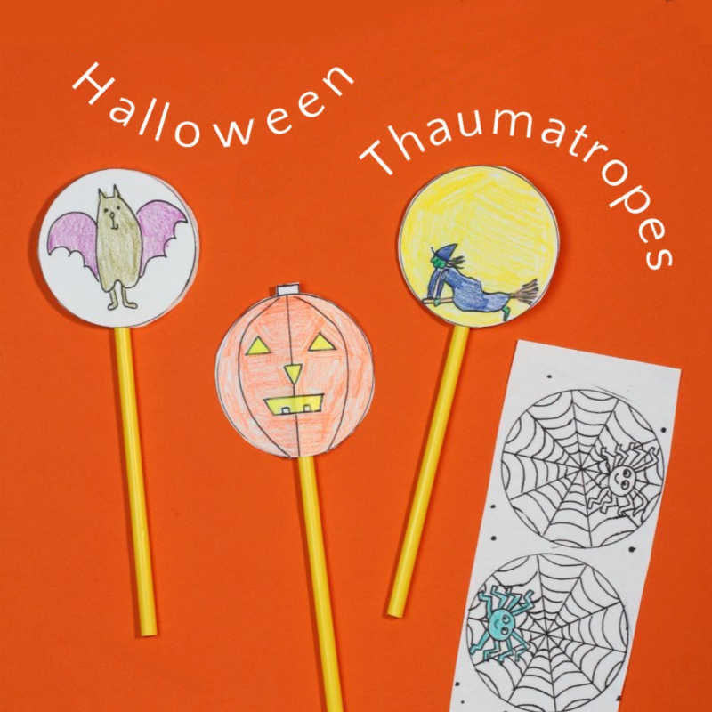 Free Printable Thaumatrope