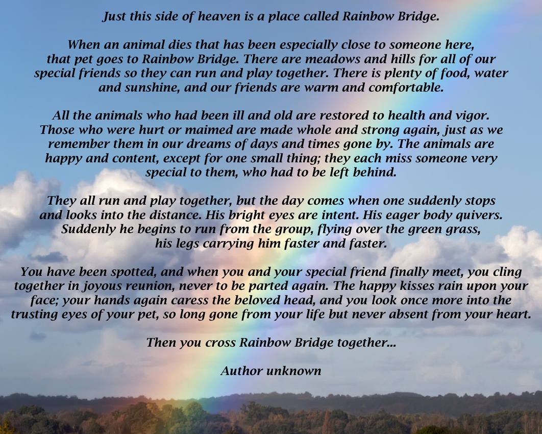 I ll Meet You At Rainbow Bridge Marilyn s Way