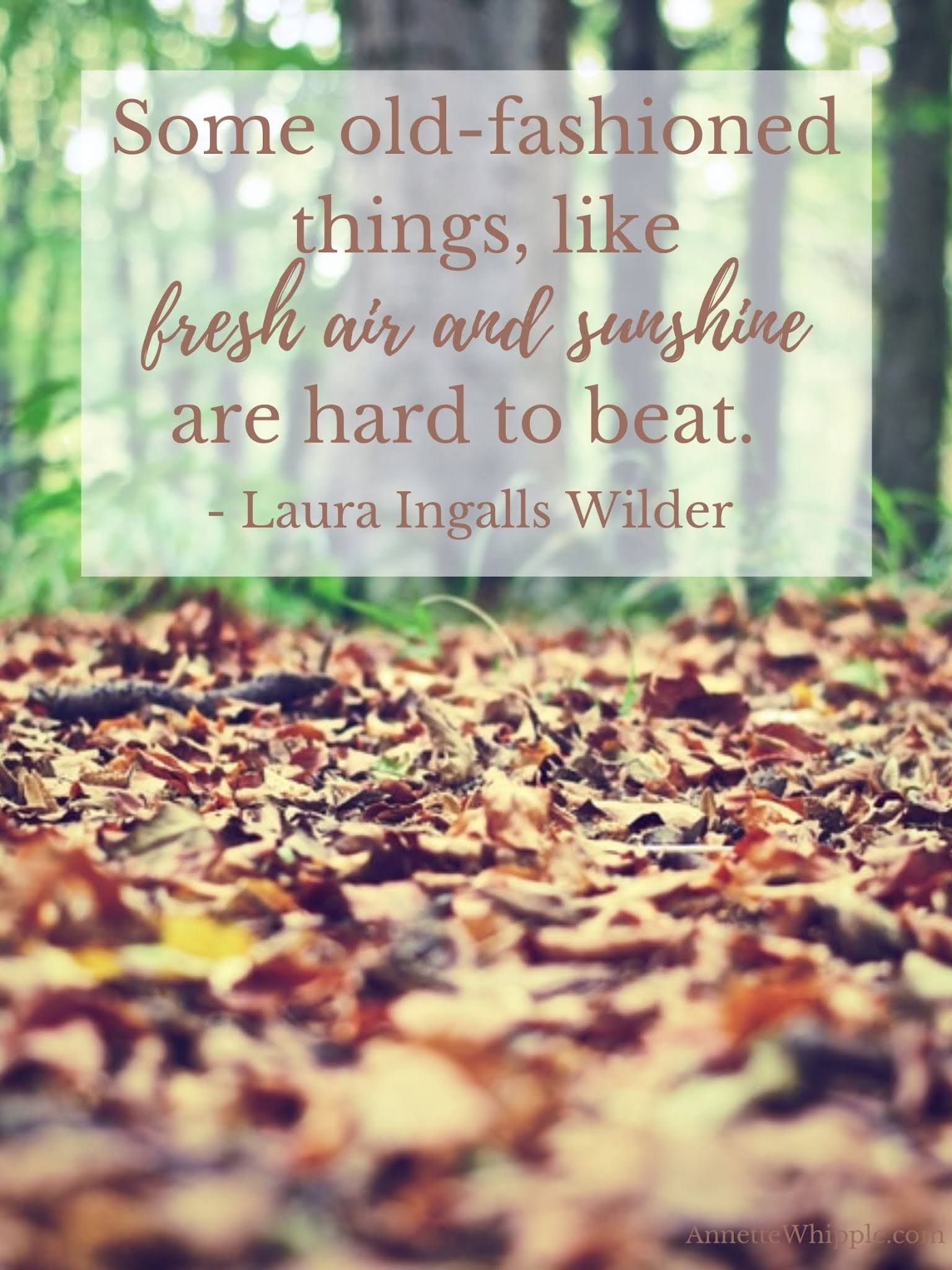 Laura Ingalls Wilder Old Fashioned Quote Printable The Laura Ingalls Wilder Companion