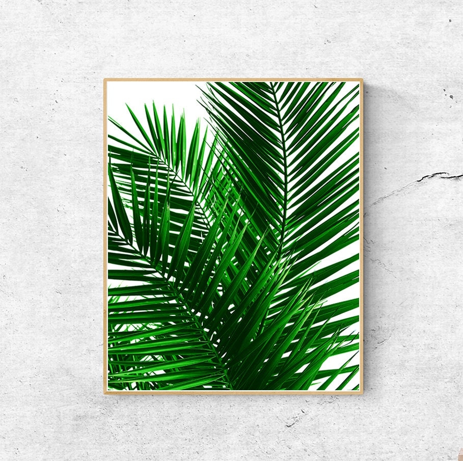 Leaf Print Wall Art Printable Palm Leaf Print Botanical Prints Palm Tree Print Download Palm Tree Poster Tropical Art Greenery Print Etsy