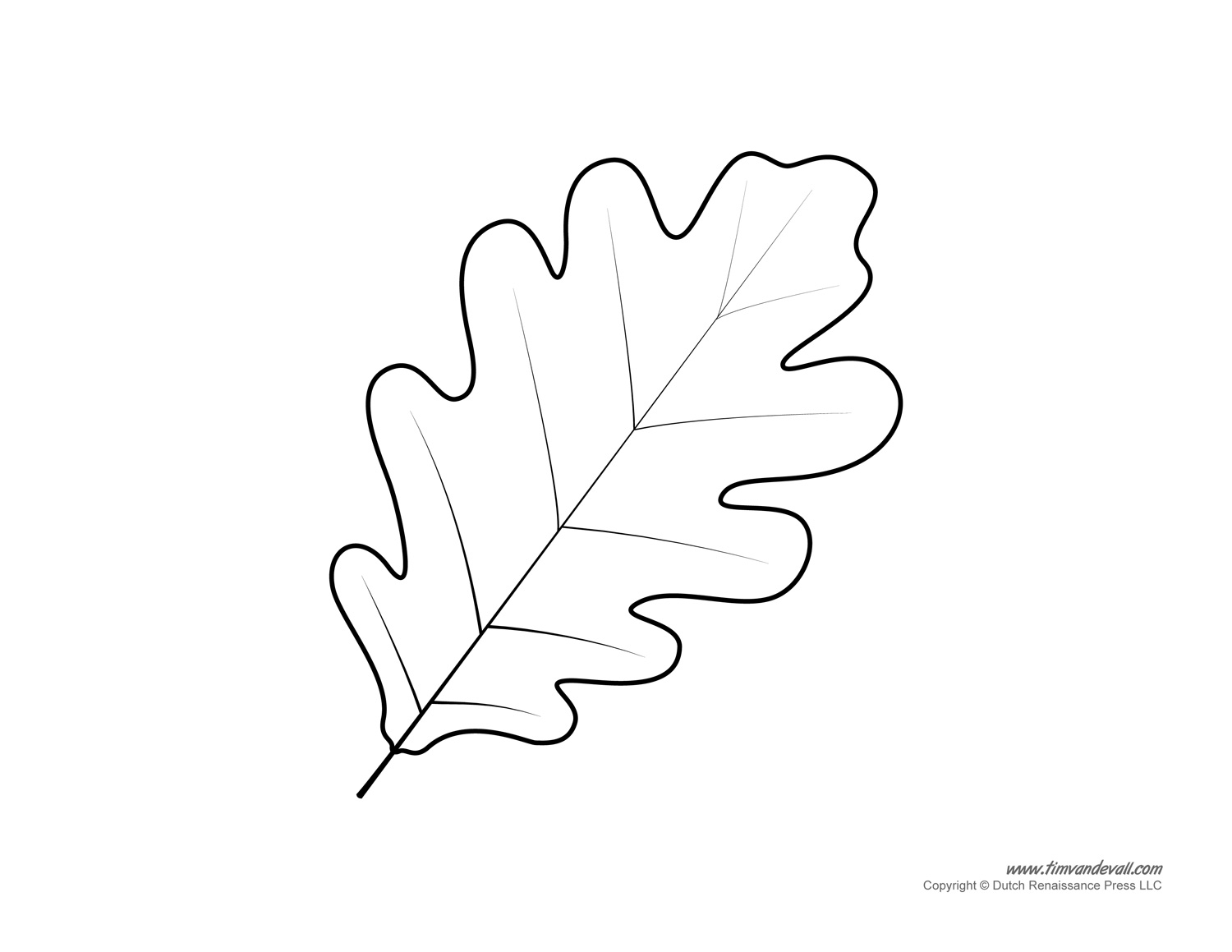 Leaf Templates Leaf Coloring Pages For Kids Leaf Printables