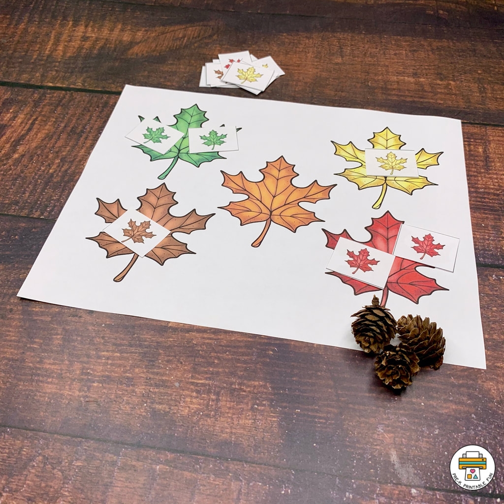 Pre K Leaves Free Printables