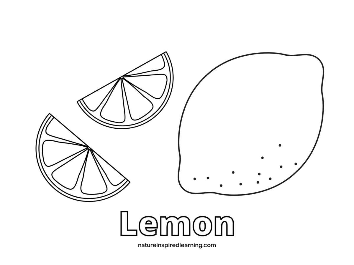 Lemon Coloring Pages Nature Inspired Learning