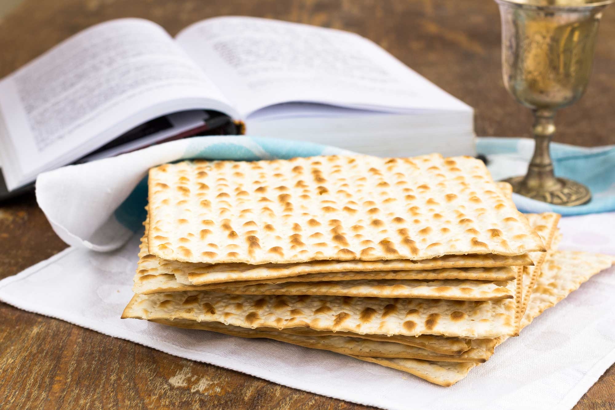 Messianic Family Haggadah Messiah In The Passover Chosen People Ministries
