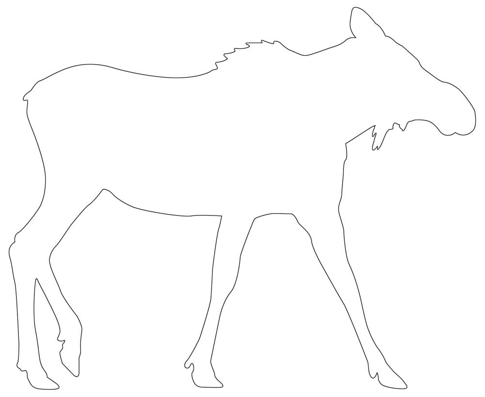 Moose Outline Awesome Printable Template