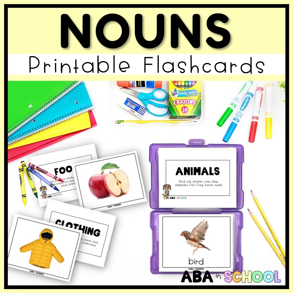 Nouns Flashcards REAL IMAGES Special Education ABA ELL Speech Therapy ABA In School