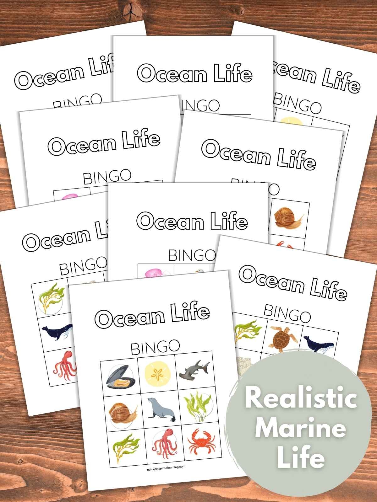 Free Printable Ocean Bingo Cards