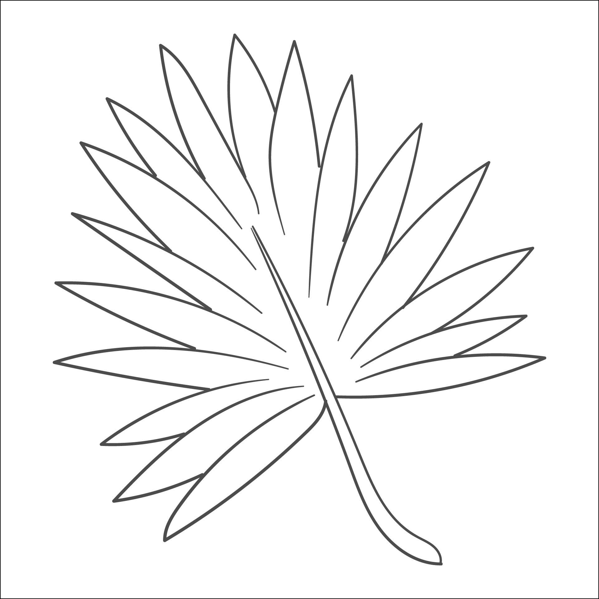 Palm Leaf Template 16 Free PDF Printables Printablee
