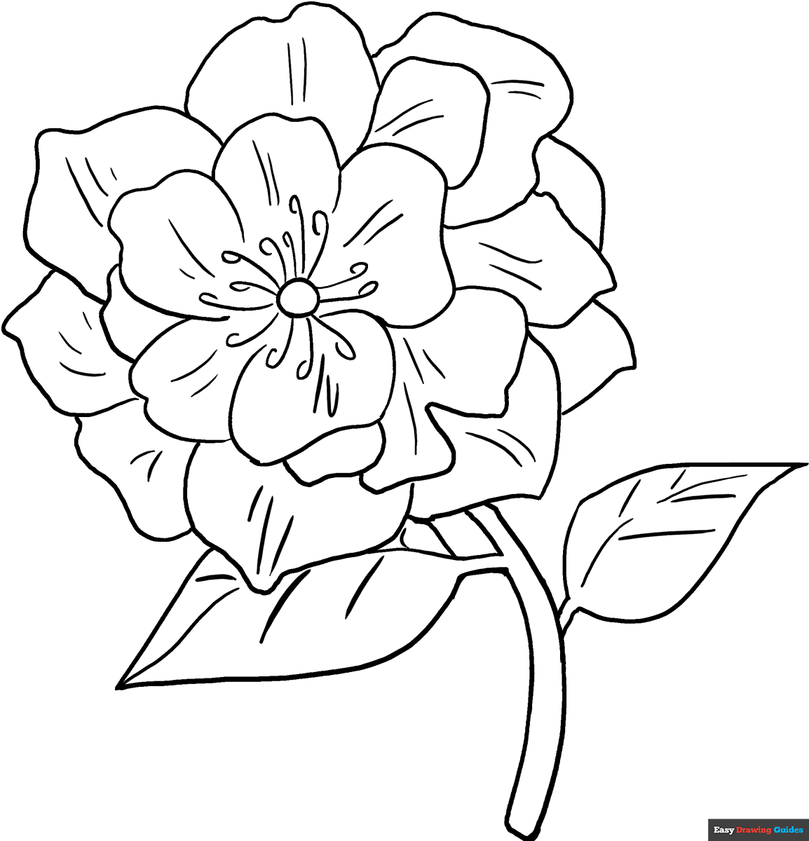 Peony Coloring Page Easy Drawing Guides