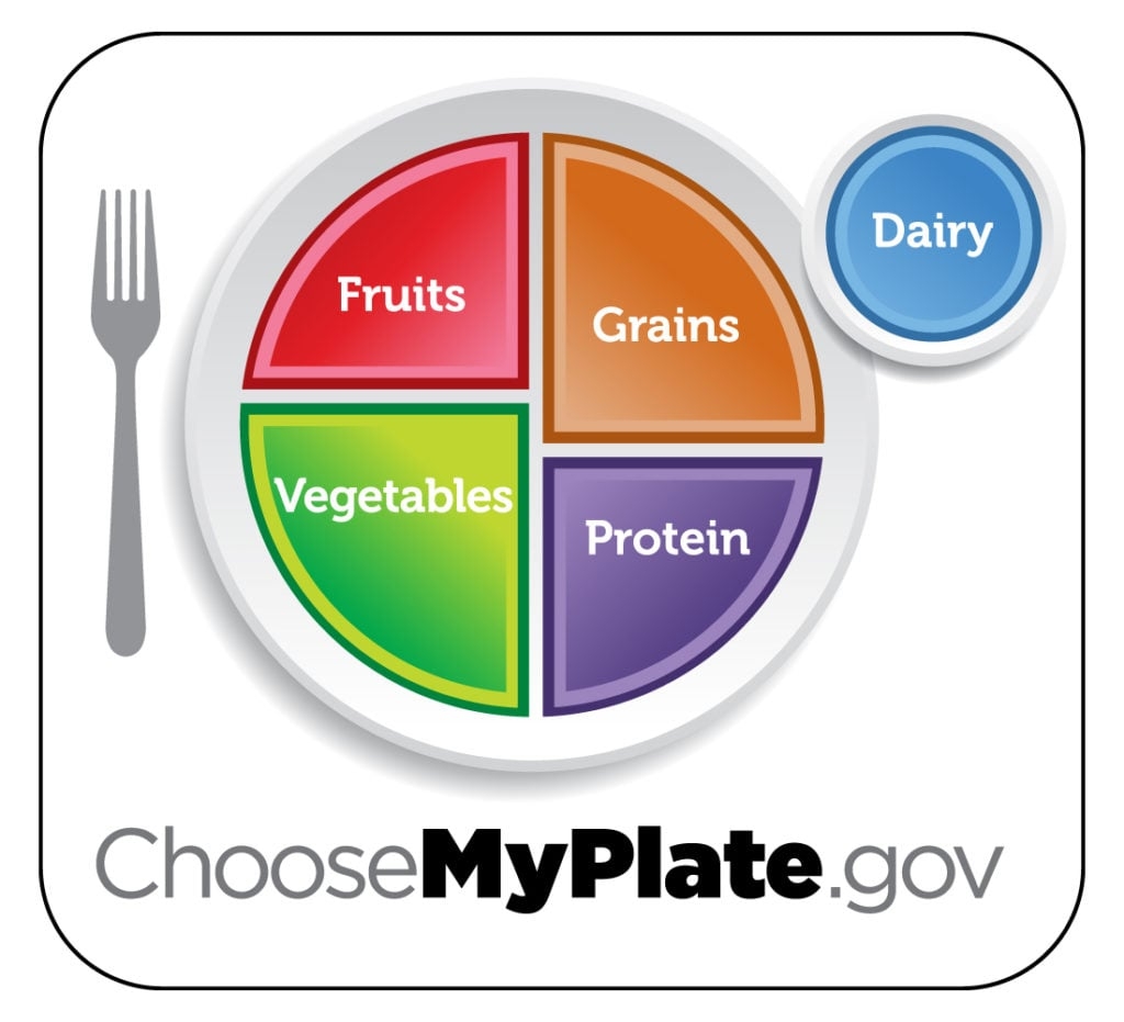 Free Printable My Plate Worksheets