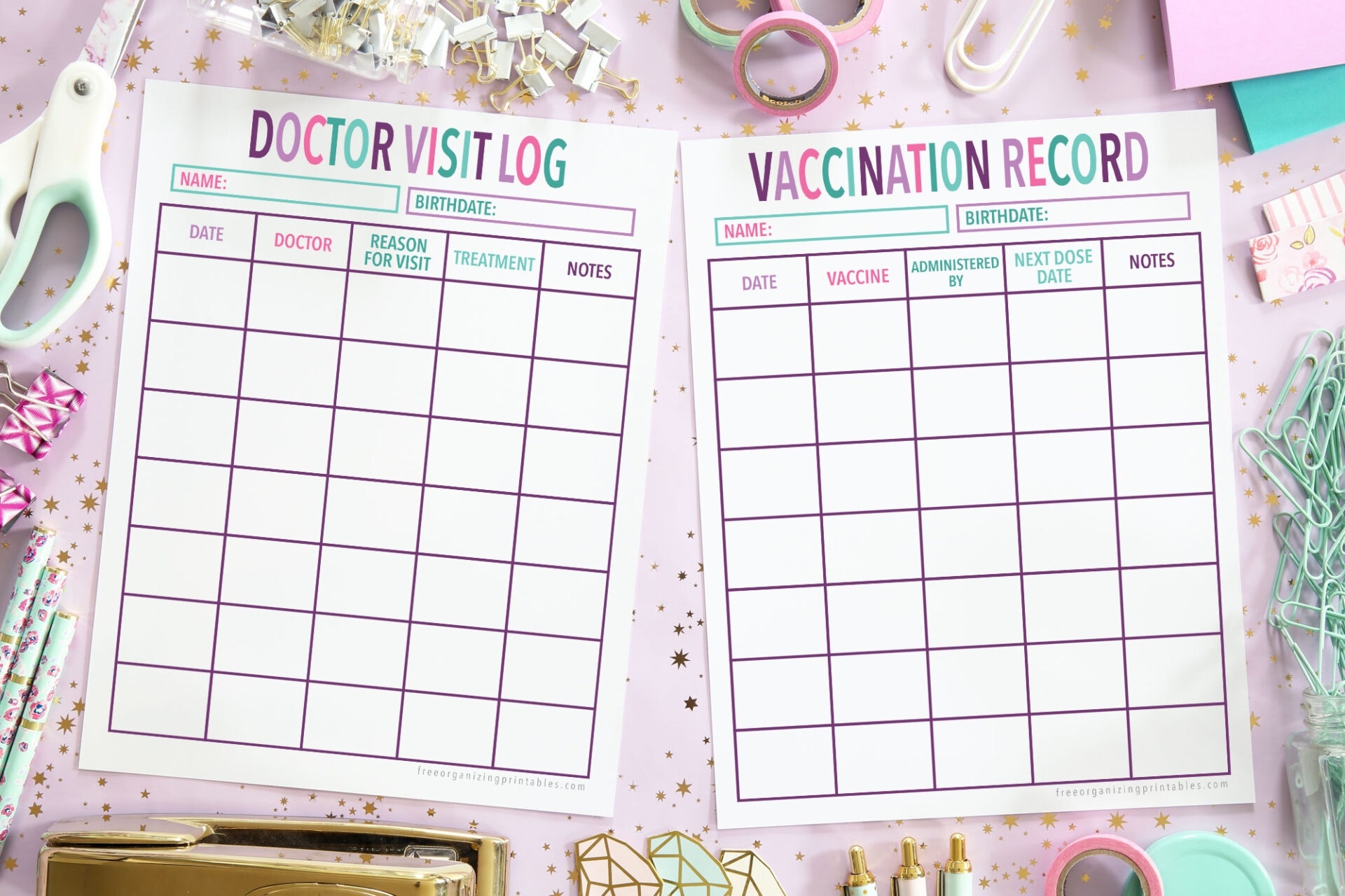 Printable Doctor Appointment Log And Vaccination Record