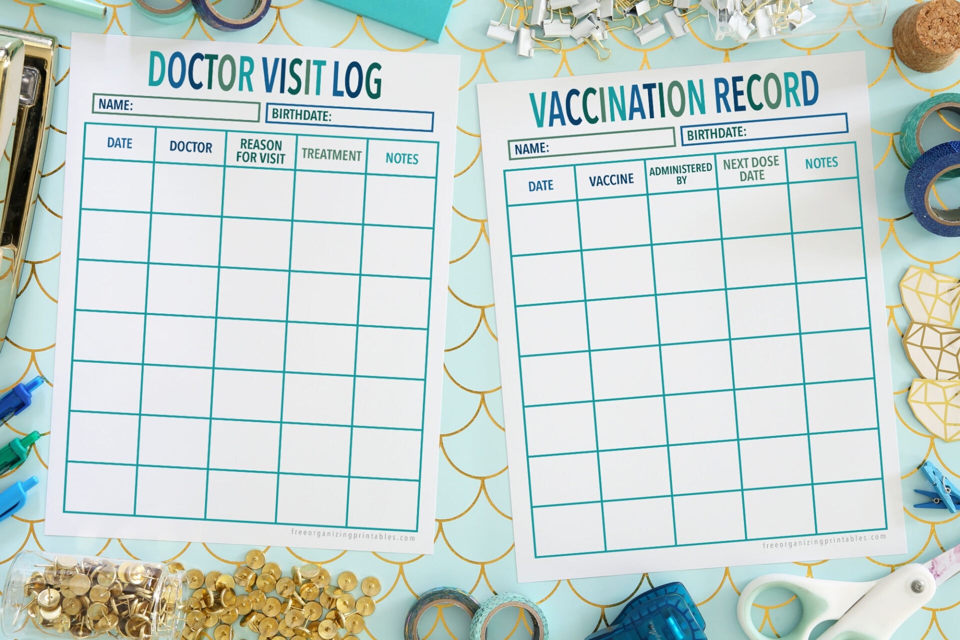 Printable Doctor Appointment Log And Vaccination Record