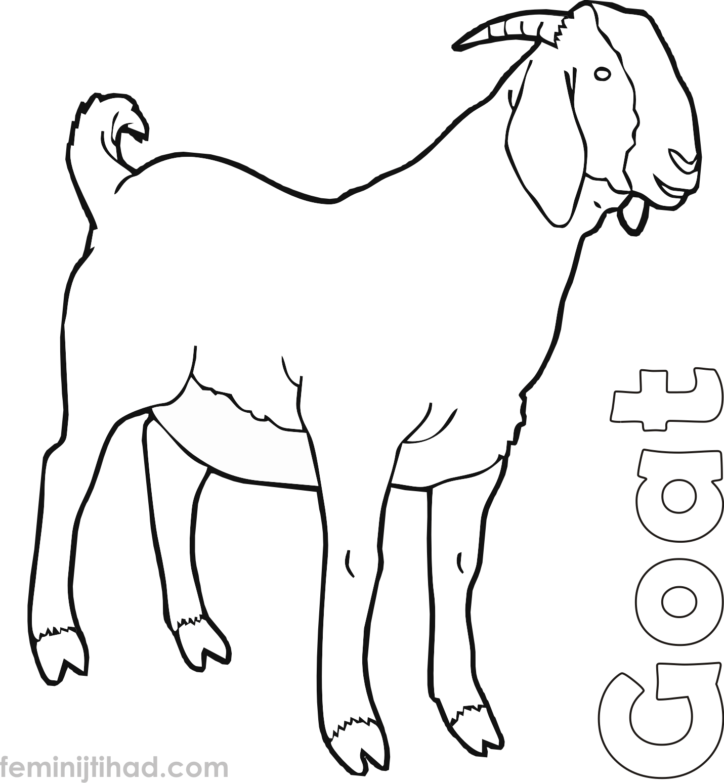 Printable Goat Coloring Pages PDF Coloringfolder