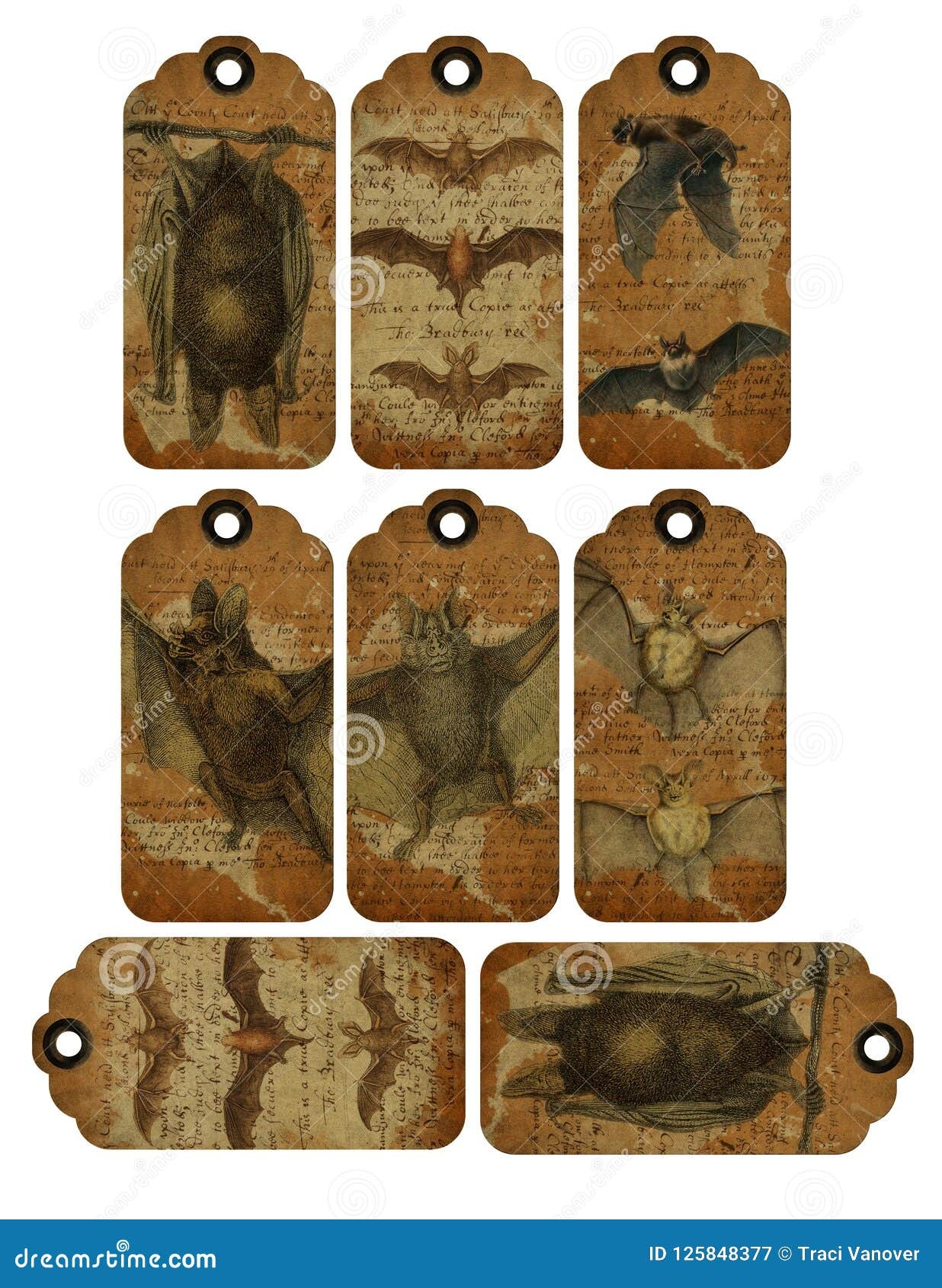 Printable Tag Sheet Vintage Bat Illustration Gothic Macabre Halloween Stock Illustration Illustration Of Designs Patterned 125848377