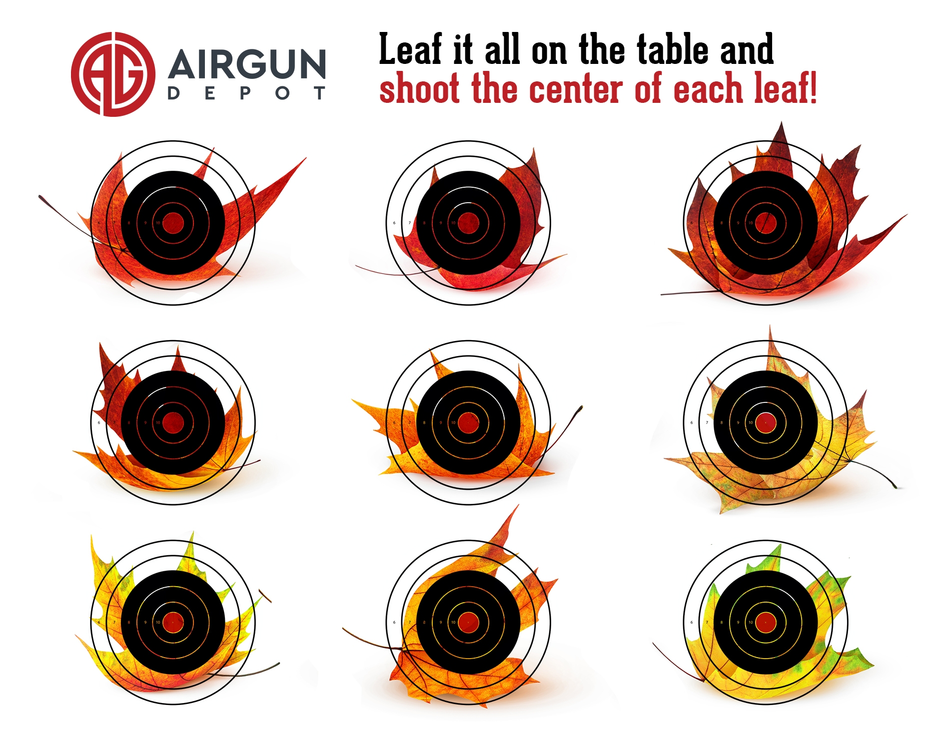 Free Printable Shooting Targets Funny